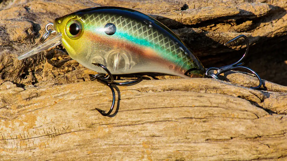 bill lewis atv squarebill