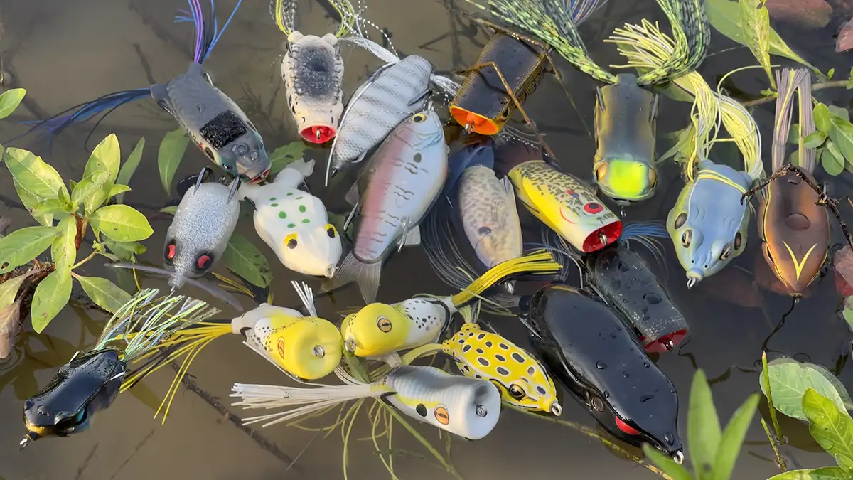 Best Frog Lures for 2023