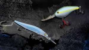Crankbait vs Jerkbait | When to Fish Each
