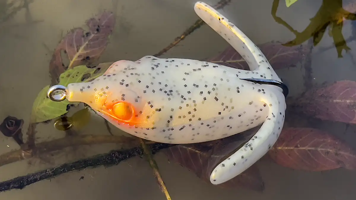 Deps Basirisky frog