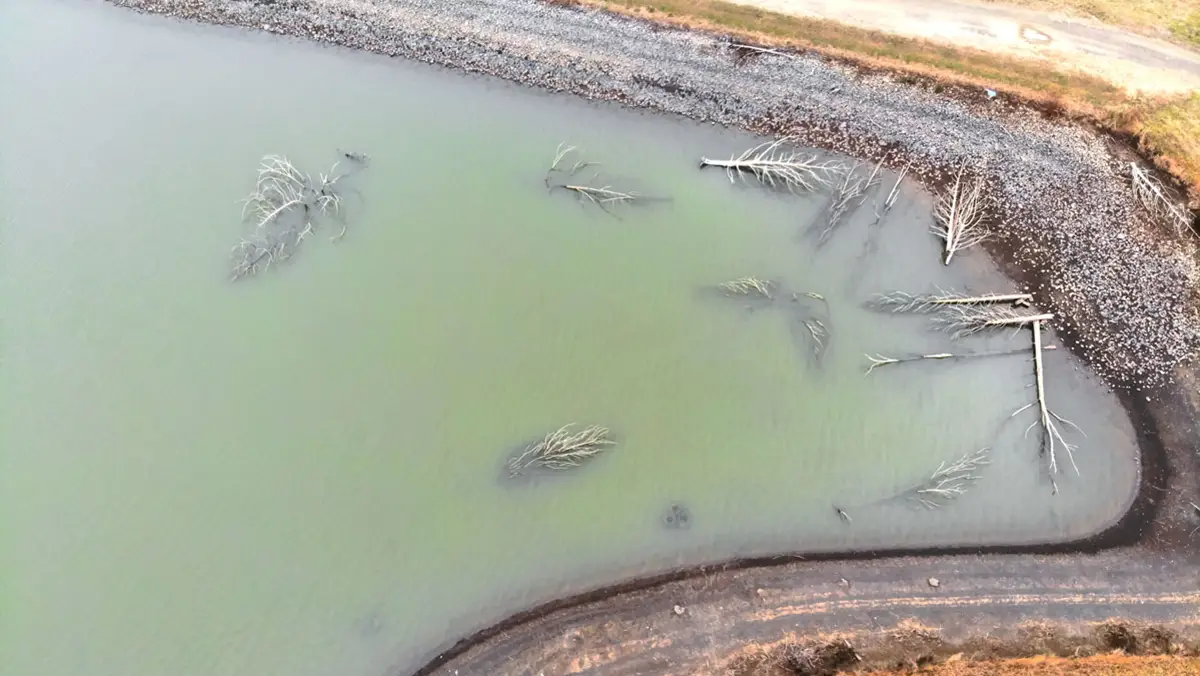 Obvious cover on small lake