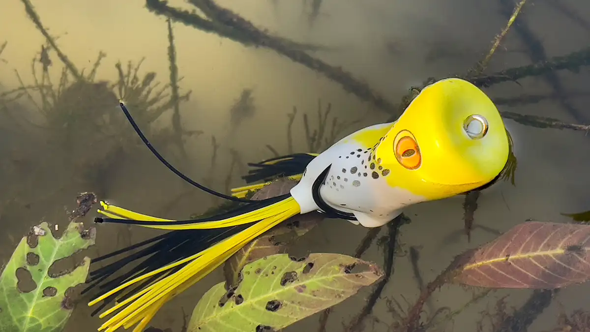 scum frog trophy series popper frog