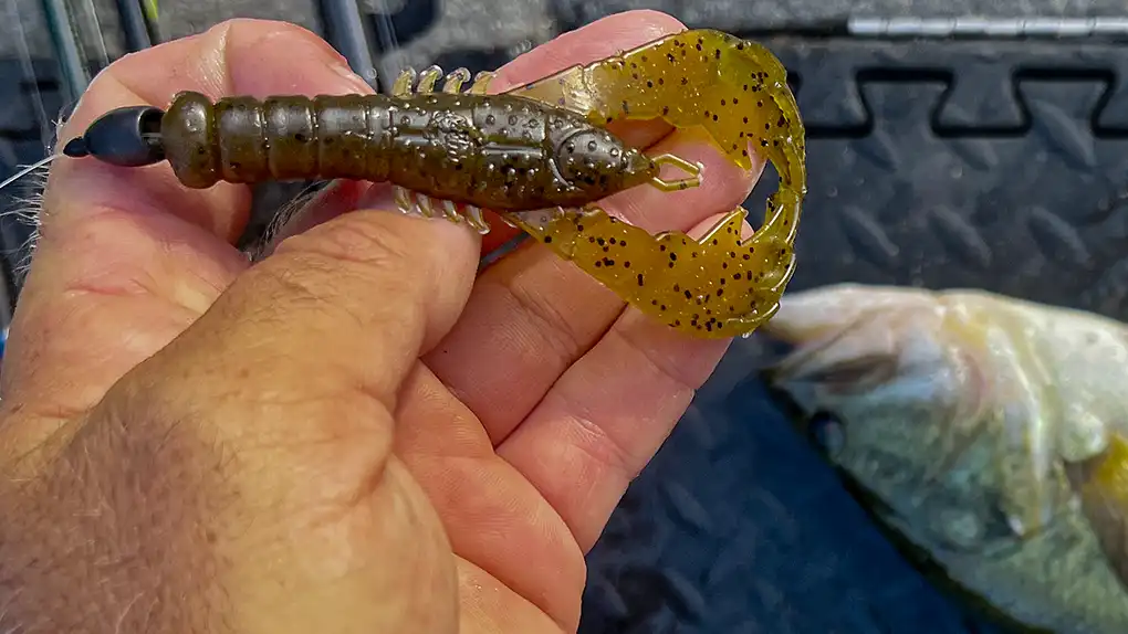 Yamamoto Yama Craw bass