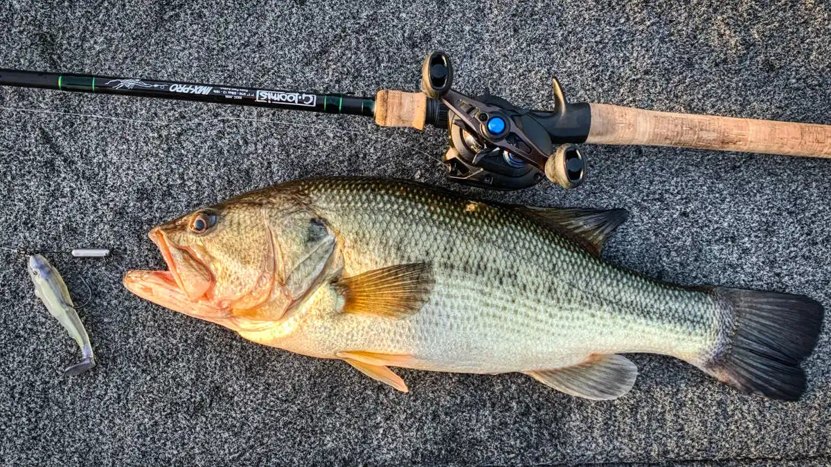 VMC Tungsten Slider weight with a big bass