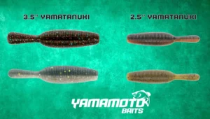 Yamamoto Yamatanuki Giveaway Winners