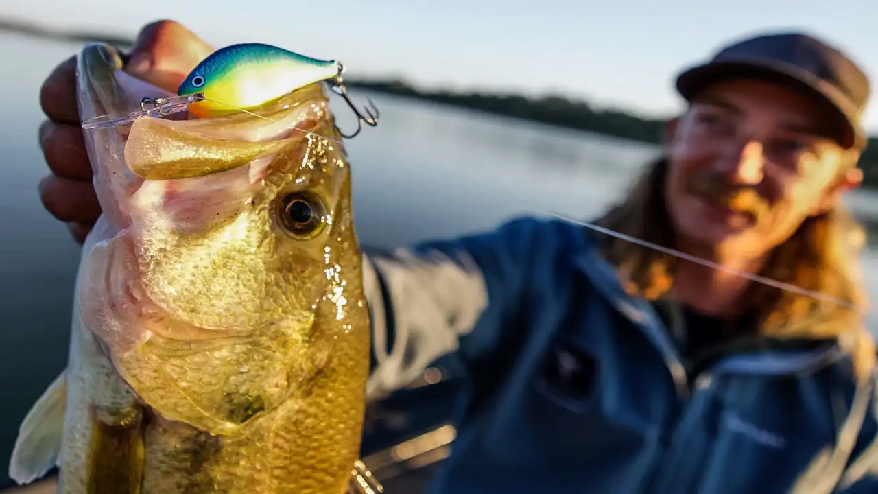 how-to-fish-crankbaits-in-weeds