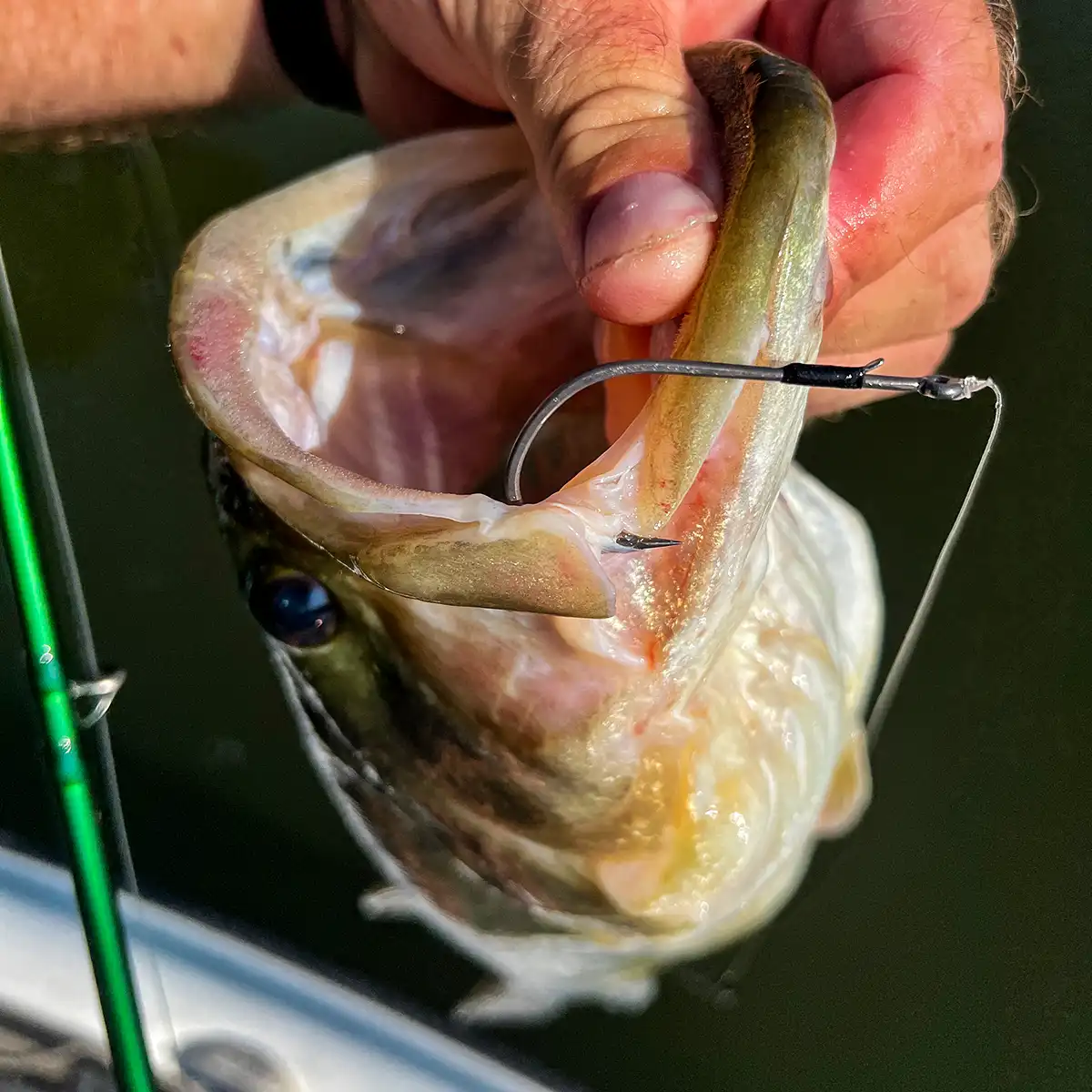 bkk hook slick penetrates