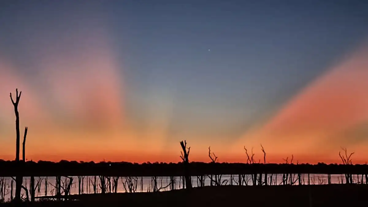 Targeting Spotted Bass in Standing Timber - Wired2Fish