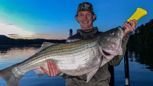 Targeting Striper Using Live Sonar