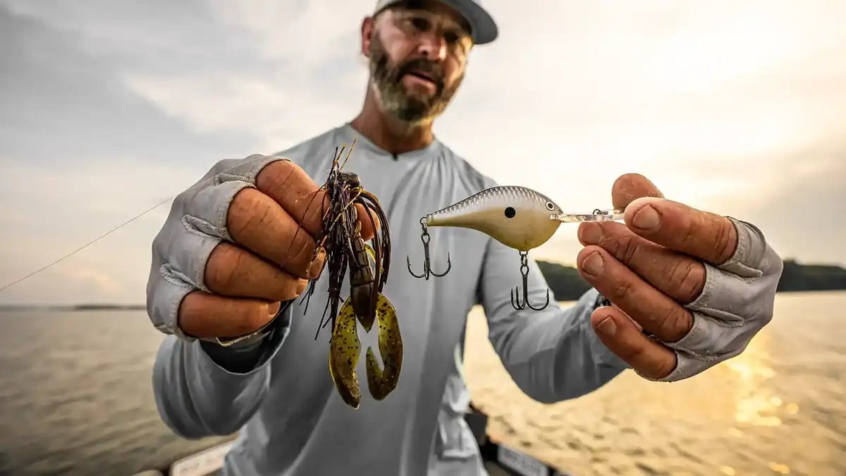 late summer bass fishing offshore swindle