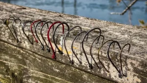 Best Catfish Hooks