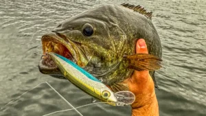 Best Smallmouth Bass Lures