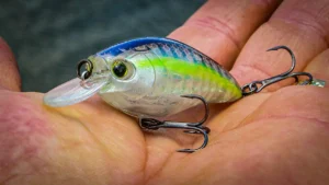 Yo-Zuri 3DR-X SR Crankbait Review