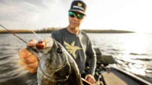Wiggle Wart Fishing Shield Rock | Tips and Tricks