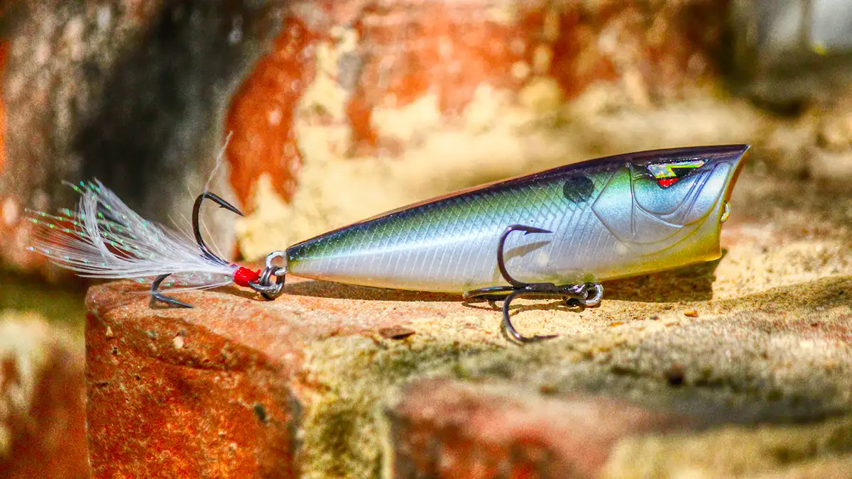 ark topwater popper tp70