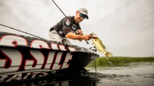 When to Use Offset and EWG vs Straight Shank Hooks