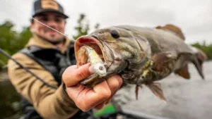 Berkley PowerBait Power Switch  | A First Look at Wired2fish