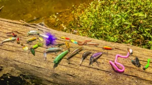 Best Trout Lures