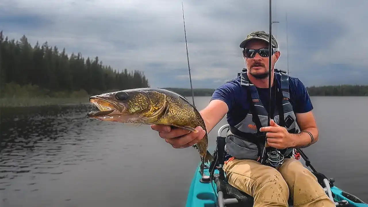 jerkbait-fishing-walleyes-from-kayak