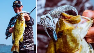 Power Fishing Bladed Jigs for Smallmouth with KVD