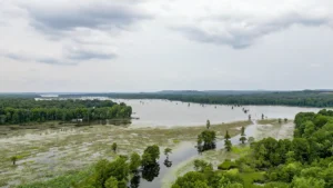They are Destroying This Fishery to Build Back A Legendary Lake