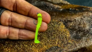 Southern Pro Tiny Worms Review