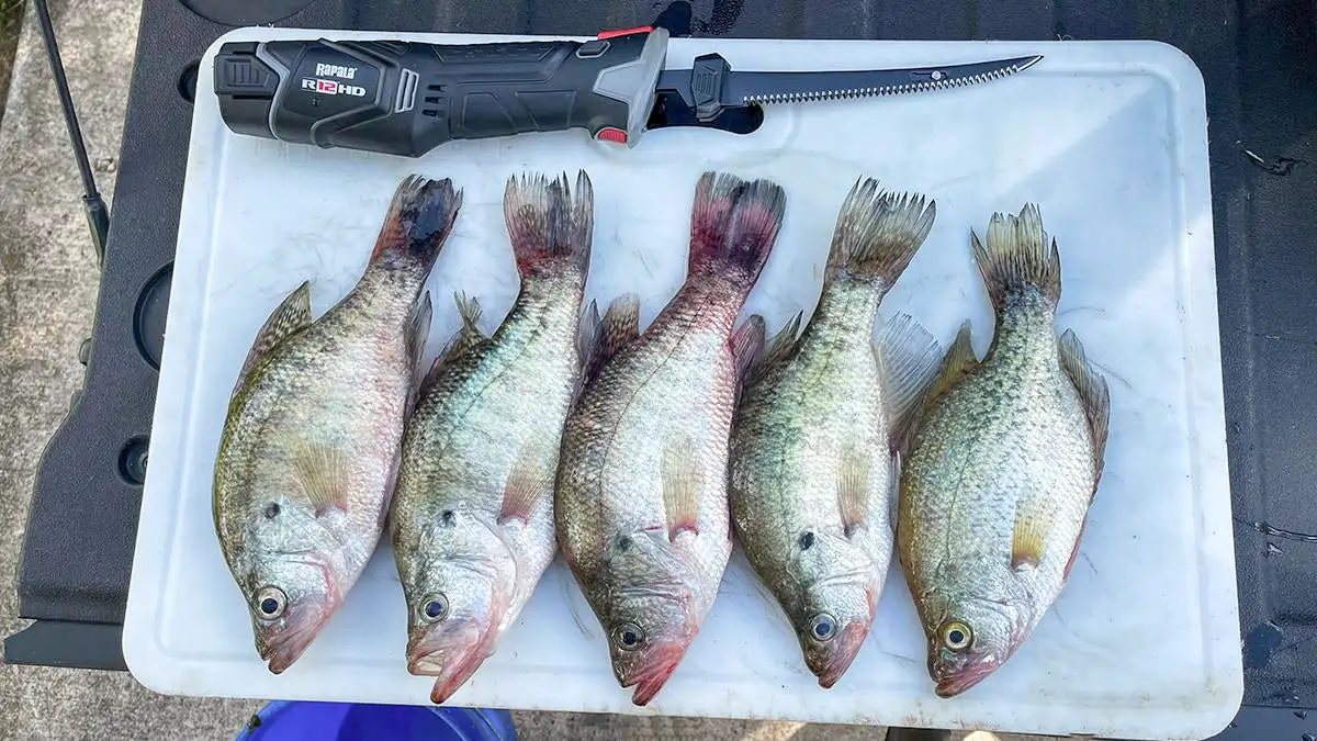 Rapala R12 HD Lithium Electric Fillet Knife