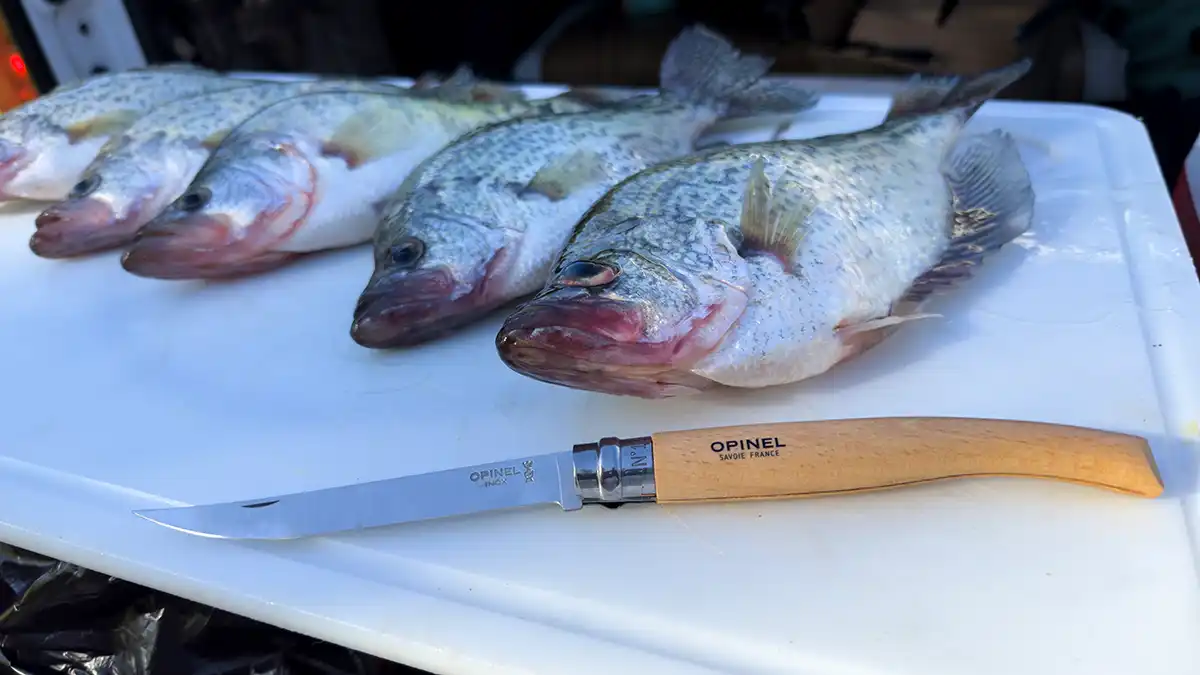 opinel french fillet knife