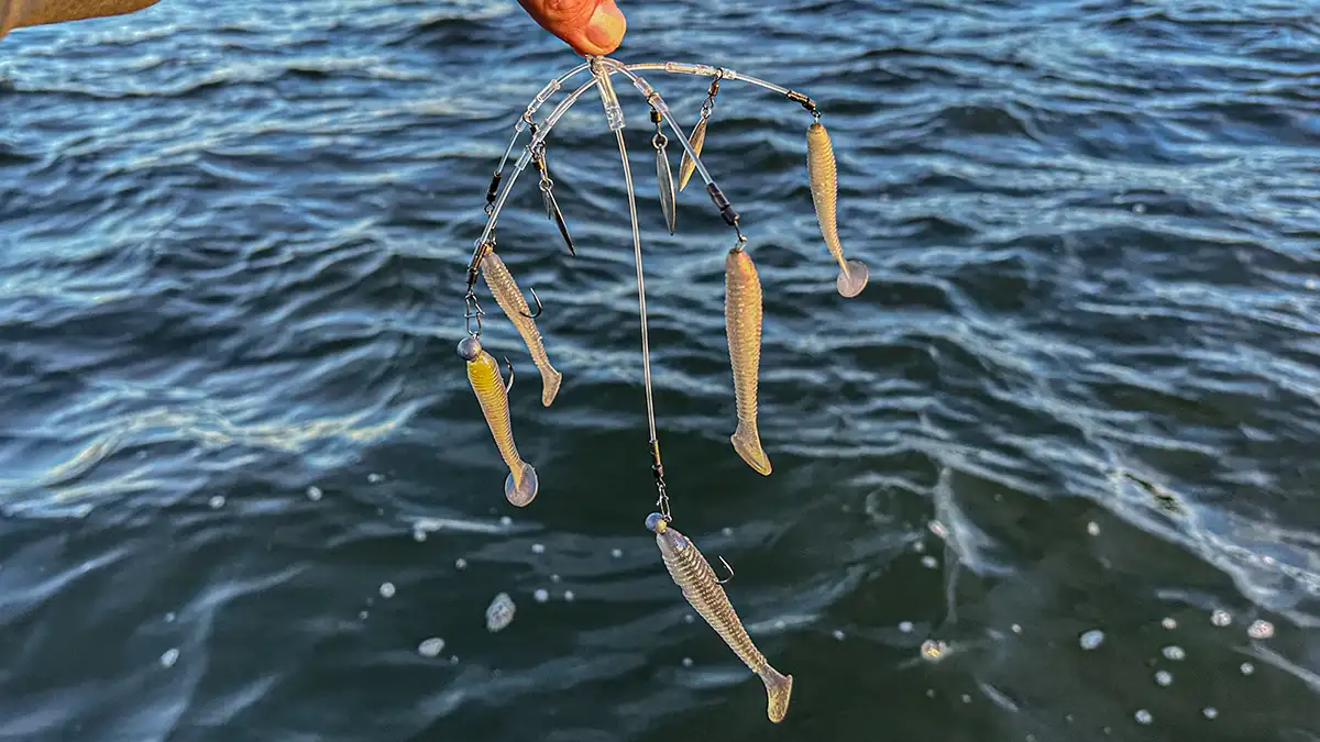 Alabama Rig
