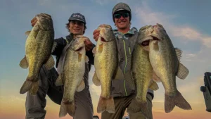 Alabama Rig vs Damiki Rig