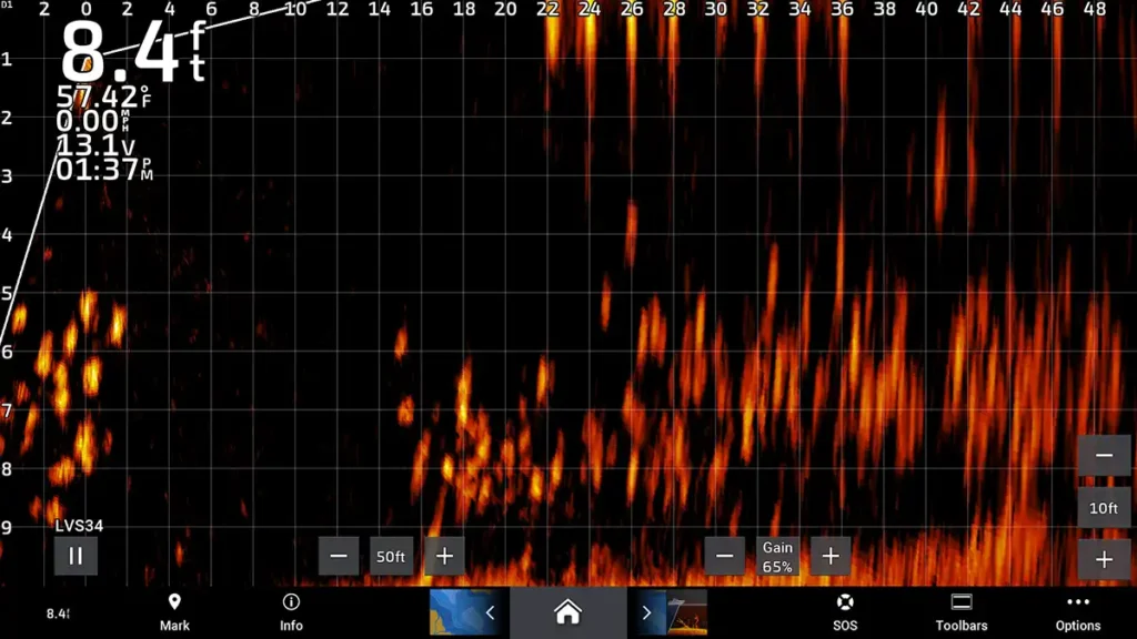 Garmin-livescope-showing-huge-school-of-hundreds-of-bluegills