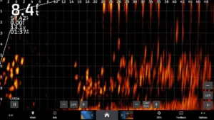 Garmin Livescope Plus: What It Is, How It Works and More