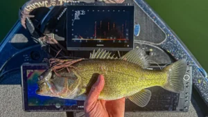 Fishing a Jig Using Forward Facing Sonar