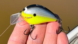 Black Label Balsa Wreck Crankbait Review