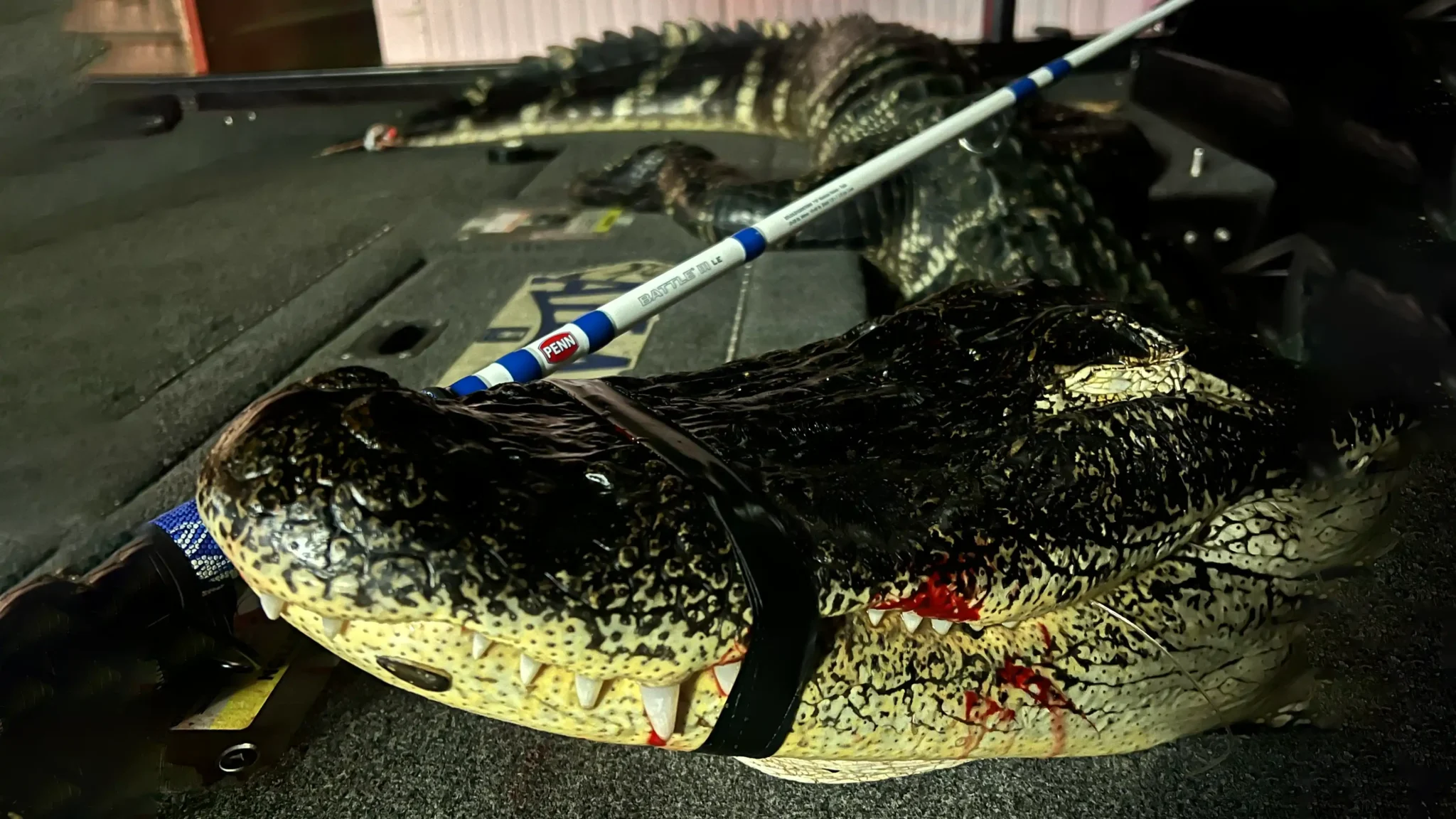 gator fishing gear