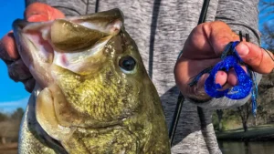 Best Crawfish Lures for Bass