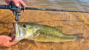 My Favorite Fishing Gear from the Past Year