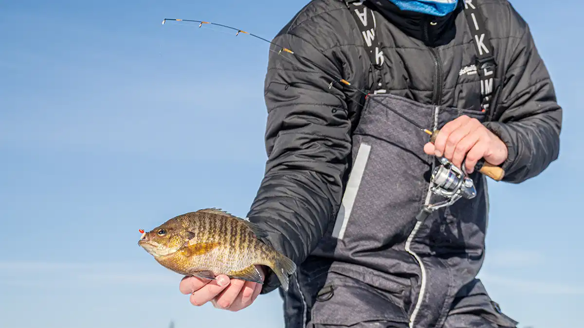 ice fishing spinning reels