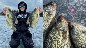 Micro and Finesse Wiggler Great on Ice and Spring Panfishing