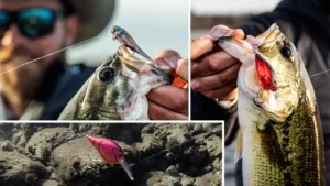 Prespawn Bass Damiki Rig and Cranking 1-2 Punch