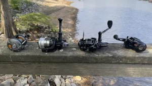Best Catfish Reels