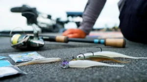 Why Hook Size Matters when Rigging Soft Plastics