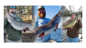 Pike vs Musky vs Pickerel