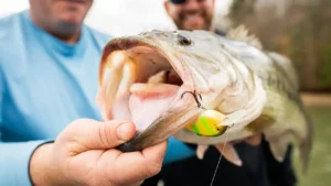 DeFoe’s Spring Crankbait Tactics for Shallow Bass