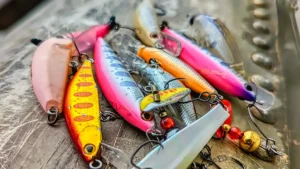 ASA Issues Statement on Tariffs Impacting Fishing Industry