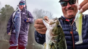 When to Fish Weedless vs. Line-Through Swimbaits