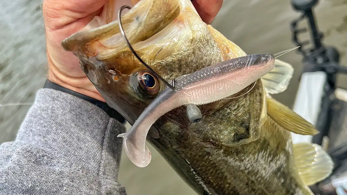 The Mayor Rapala CrushCity