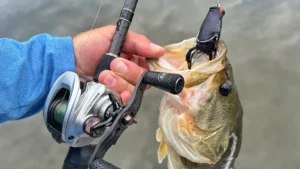 Lew’s HyperMag Baitcaster Reel Review