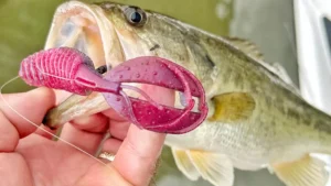 BassMooch Shooter Craw Review