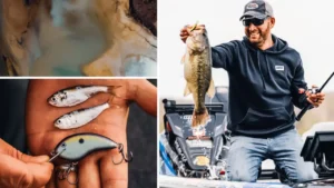 Catch More Spring Bass By Cranking the Dirt